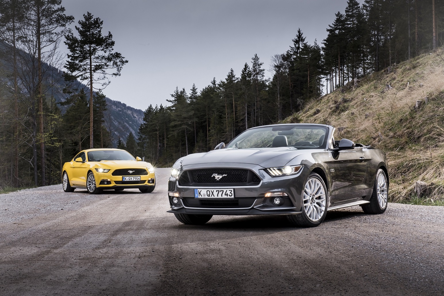 Ford Mustang prvi put dostupan u Srbiji!